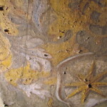 Barevná vrstva se na mnoha místech odlupovala od podkladové omítky