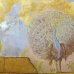 Páv v patě klenby v průběhu restaurování (vpravo vzorek čištění přemaleb a starších retuší)