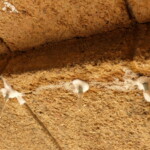 Hloubková injektáž dutin v omítce