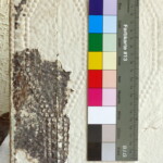 Na schodišti byly nalezeny fragmenty kartonových tapet z úprav v 19. století